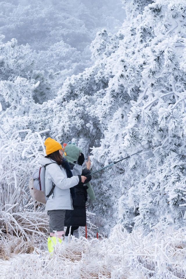 人生建議：南方人第一次滑雪來神農架