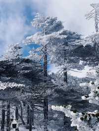 次看到蒼山雪了，感受到了生命的大自在