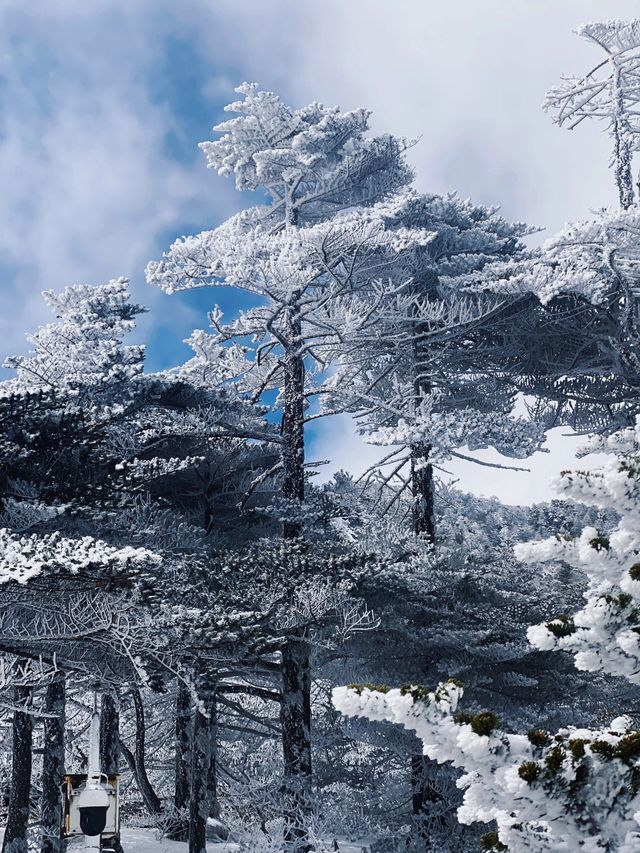 次看到蒼山雪了，感受到了生命的大自在