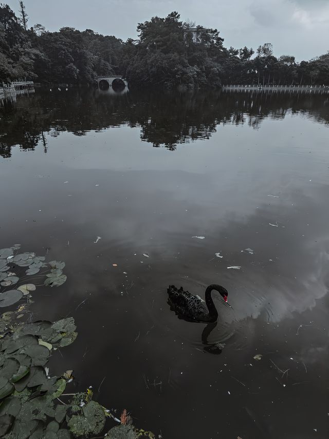 這座百年歷史的國賓館，才是峨眉山泡湯天花板。