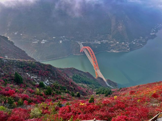 重慶巫山|南方最美紅葉勝地。