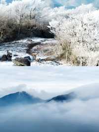 龍王山|我身體的每個朝向都是遠方