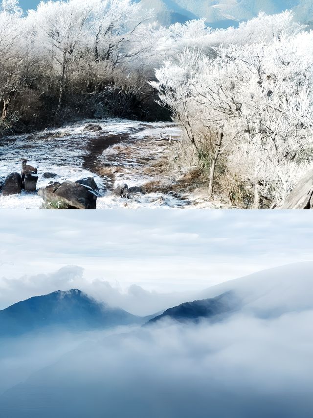 龍王山|我身體的每個朝向都是遠方