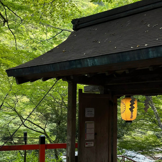 白鳳院～日式庭園充滿文化氛圍