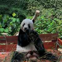 Wonderful place to visit - Zoo Negara Malaysia