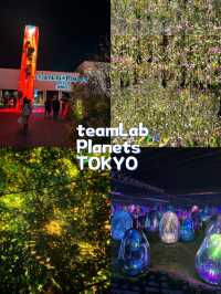 ชมพิพิธภัณฑ์ศิลปะดิจิทัลที่ teamLab Planets TOKYO