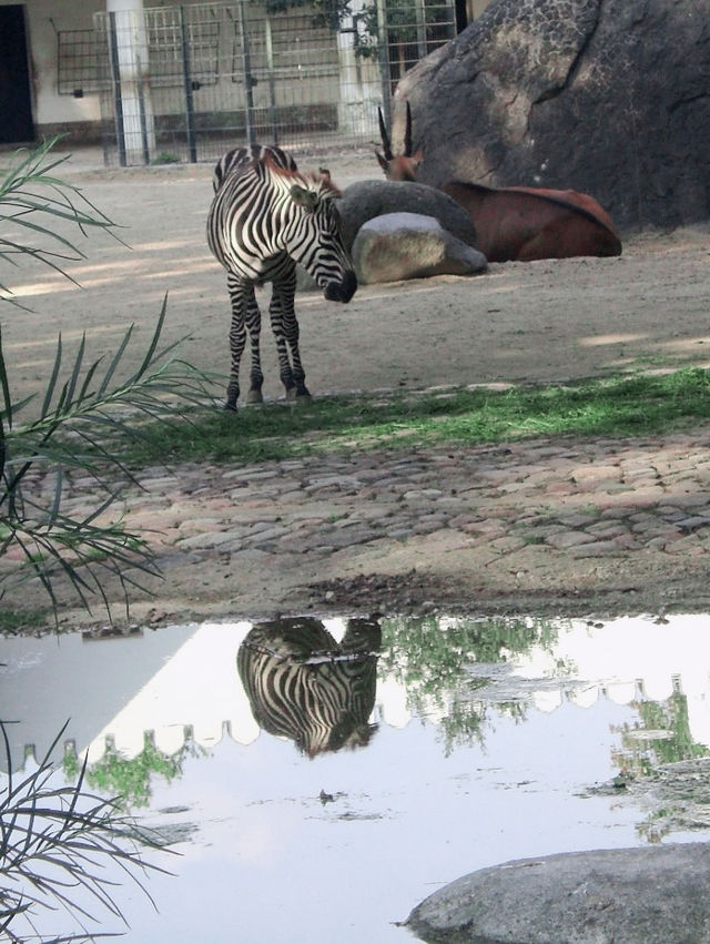 超大動物園～一次過看過夠