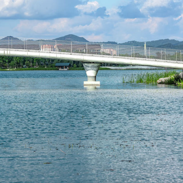 🙂後環濕地碧道🤩城市中的自然綠洲 🌿🌊