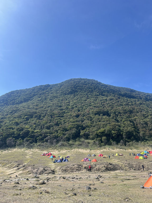 Camping At Surya Kencana Mt Gede ⛺️ 