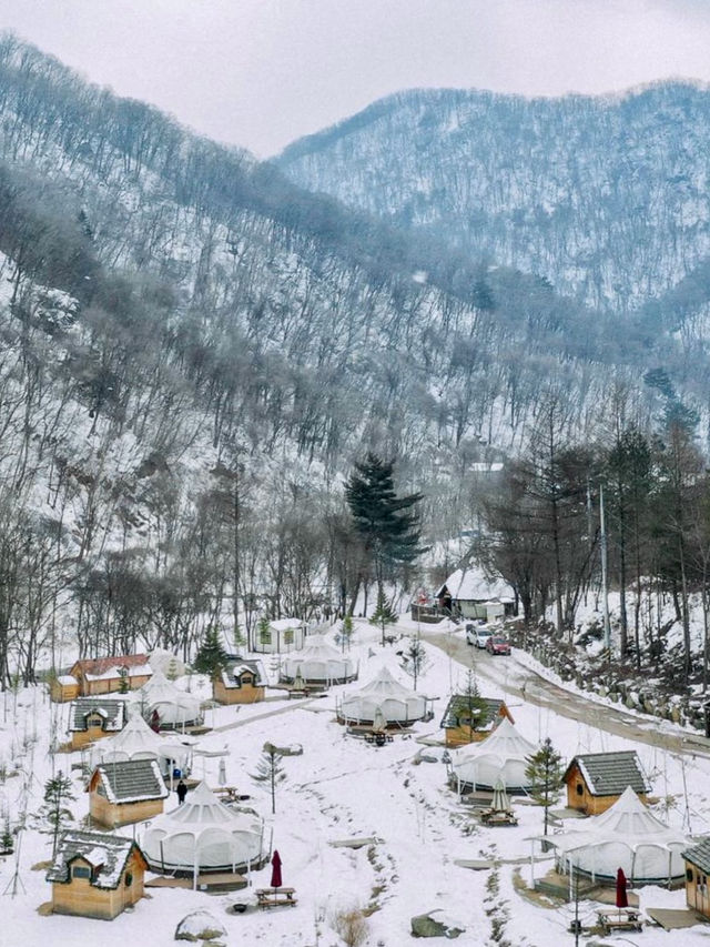 ❄️겨울 감성 글램핑을 하기에 좋은 🏕️ 평창 겨울여행지 ❄️