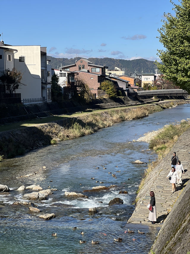 Takayama: A Day of Charm and Serenity