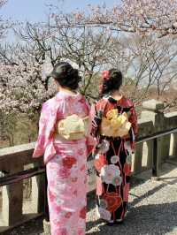 Morning Splendor at Kiyomizu-dera: Beauty Amidst the Crowds