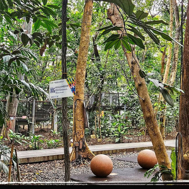 A Breath of Fresh Air at Arroceros Forest Park