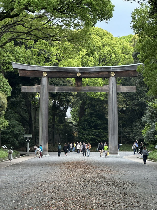 Discover Serenity at Meiji Jingu in Tokyo, Japan