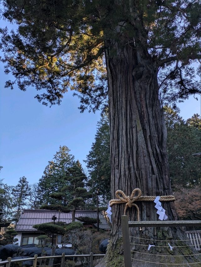 【初詣】北口本宮冨士浅間神社