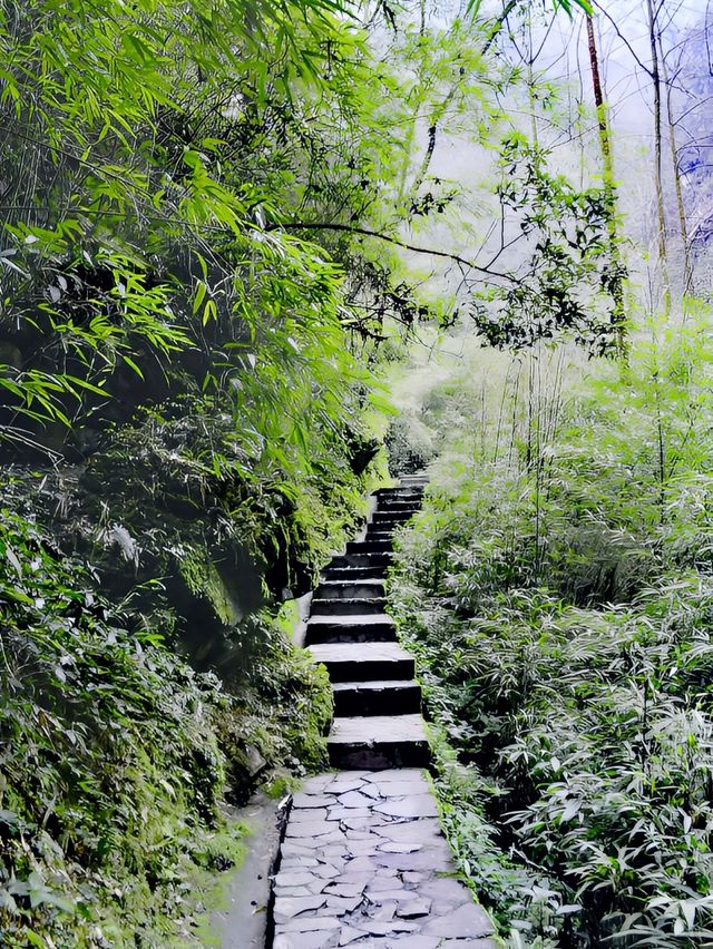 黑山谷|打卡重慶黑山谷風景區