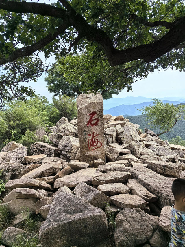 承德｜國家森林公園白草窪