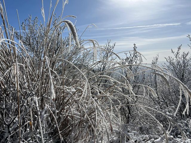 秦嶺藍關古道|周末賞雪好去處。