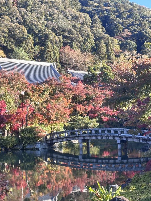 華東5市-烏鎮冬日遊 美景如畫別錯過