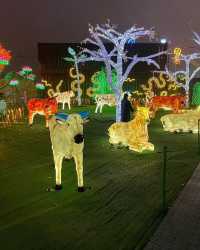 Exciting News: 50% Off Mississauga Illumi Light Show!