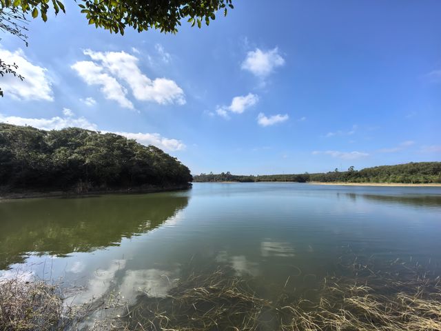 雲月湖風光