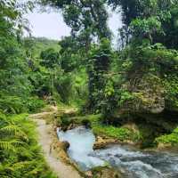 The Kawasan Falls Asrenaline Rush Adventure