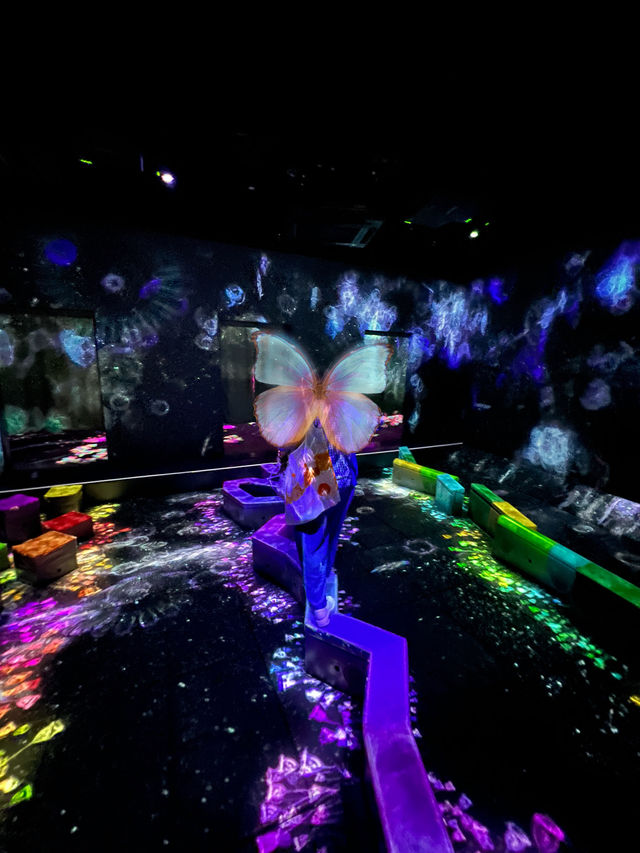 Explore teamLab Forest Fukuoka 