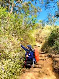 The Fascinating Mystery of Mount Lawu ⛰️