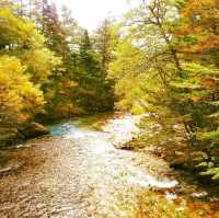 Kamikochi คามิโคจิ