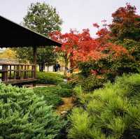 Nature’s Palette: Autumn Bliss at Kokoen Garden, Himeji!