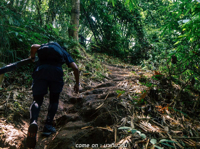 เดินป่าหน้าร้อนมีที่ไหนให้เดินบ้าง | สุโขทัย