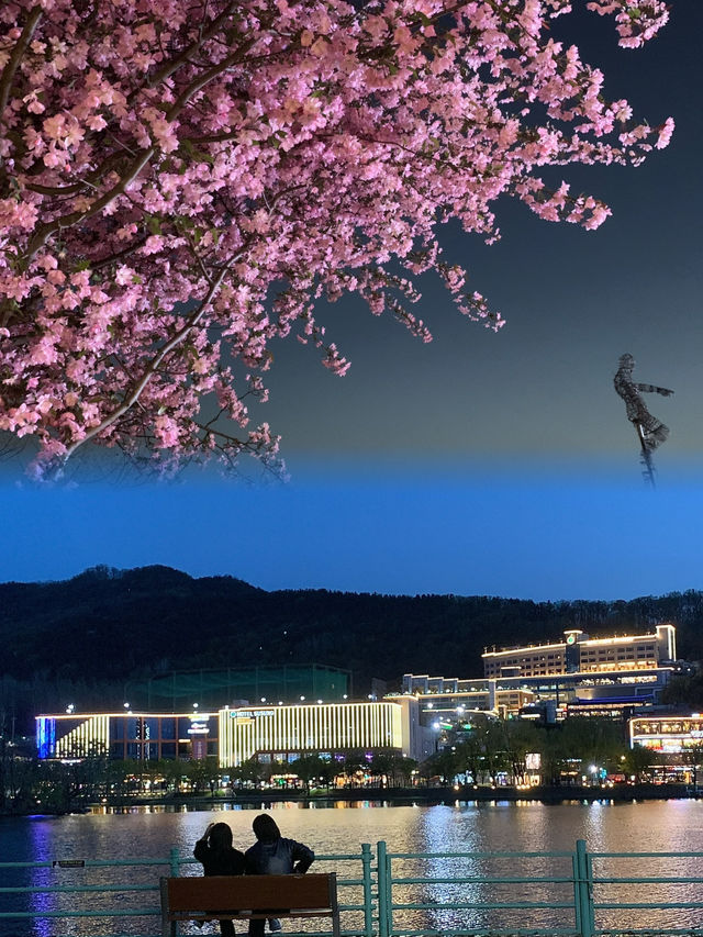 Evening Bliss at Suseongmot Lake: Blossoms, Swan Boats, and Sunset