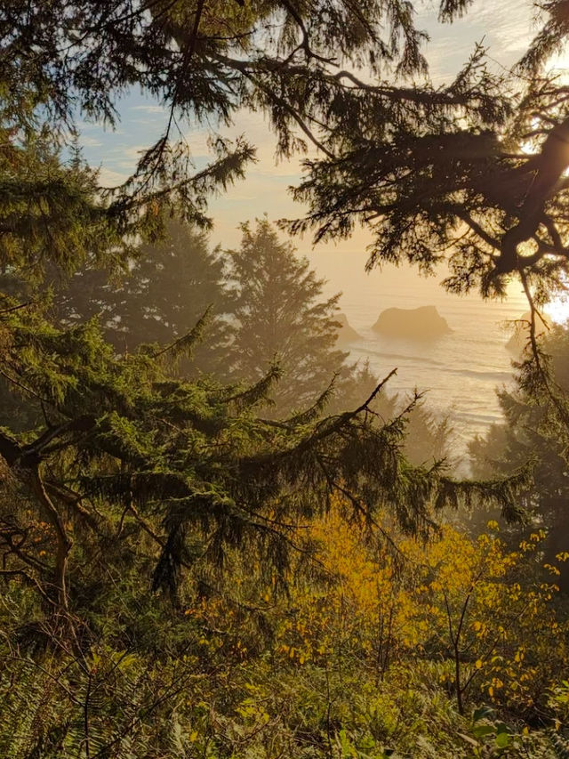 A Walking Day in Ecola State Park ☀️