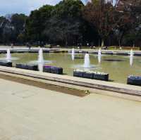 Embracing Tranquility at Ueno Park’s Scenic Avenues!