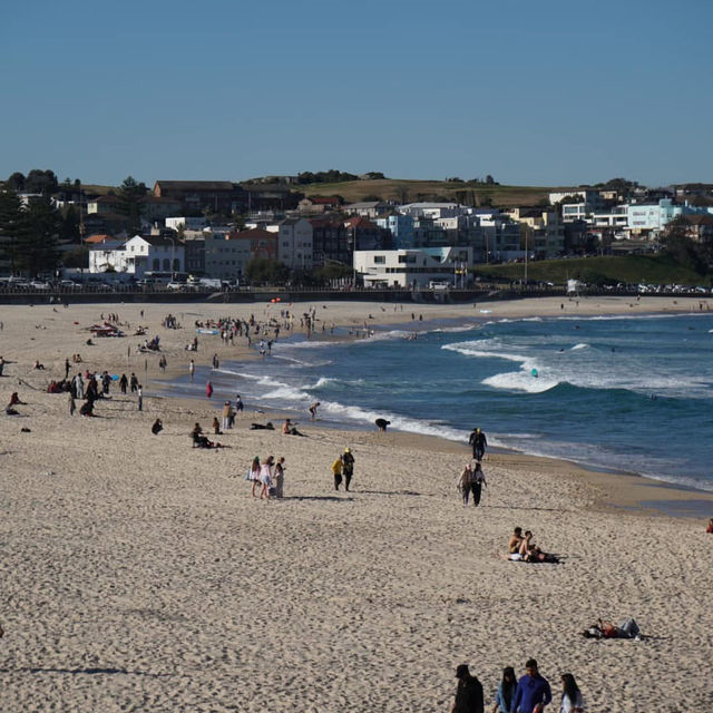 Bondi Beach Sydney