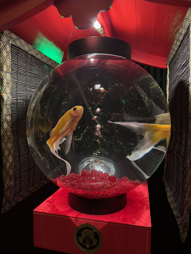 A museum for.....fish? In tokyo!