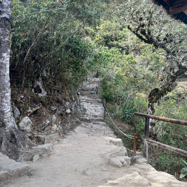 Machu Picchu 