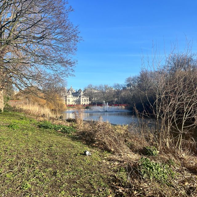 St James Park