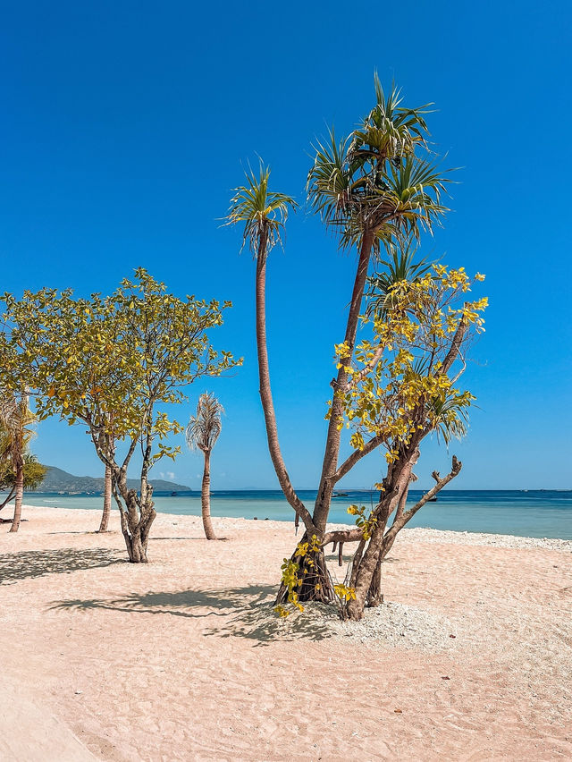 길리 제도 🏝️