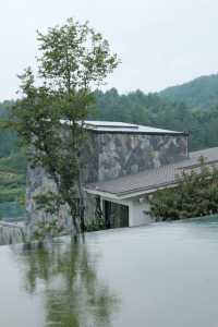 匠廬重慶｜在山野裡大口吸氧