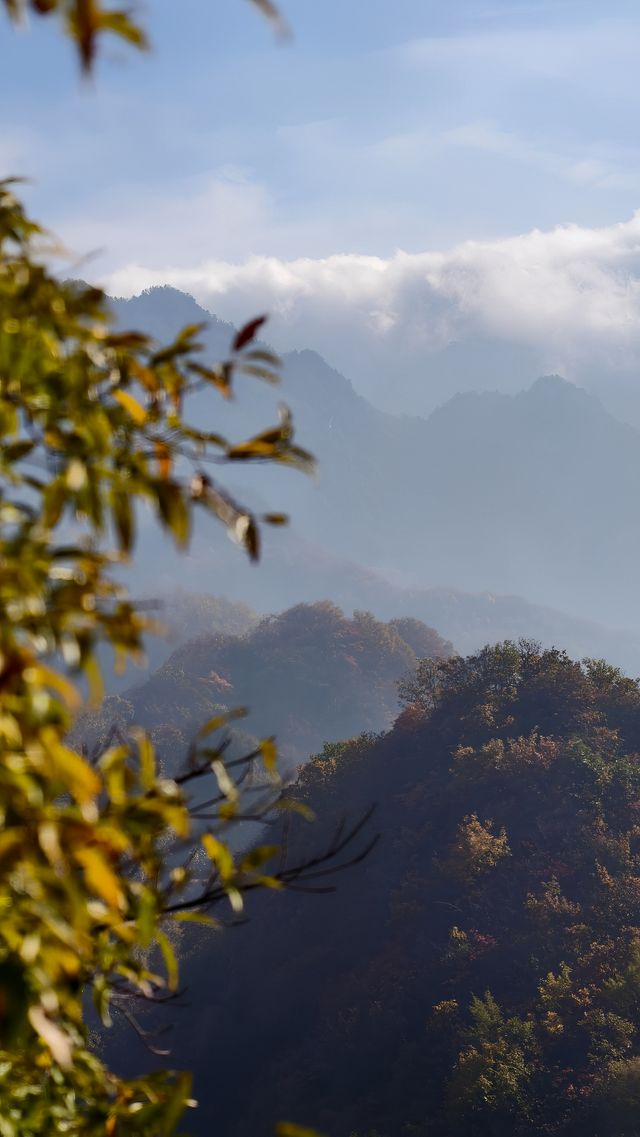 大美秦嶺-翠華山景區｜去山裡。