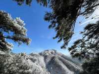 秦嶺藍關古道|周末賞雪好去處。