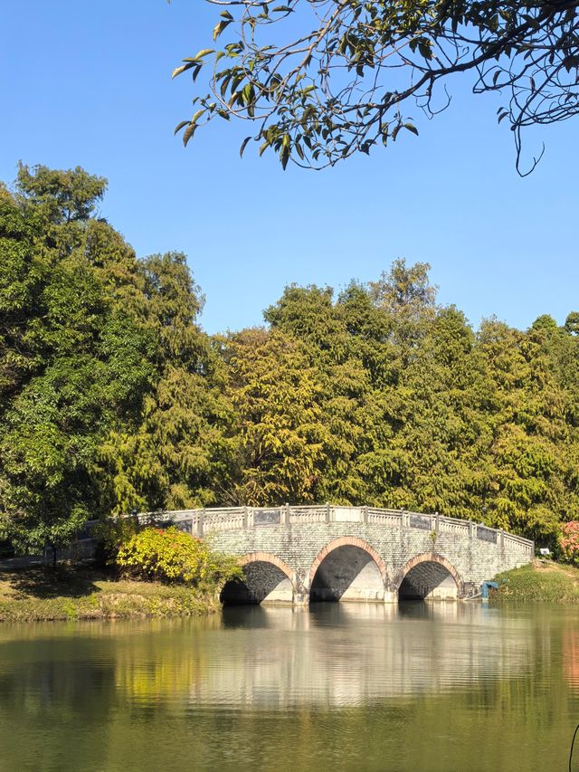 廣州華南植物園   天然氧吧