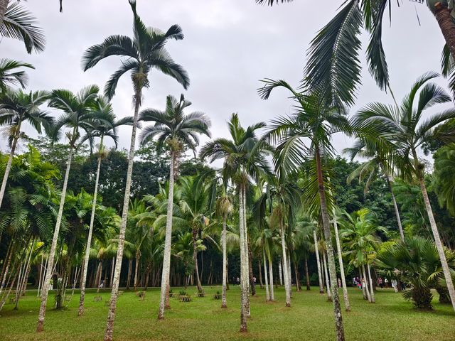 中國科學院西雙版納熱帶植物園（雲南省，5A）