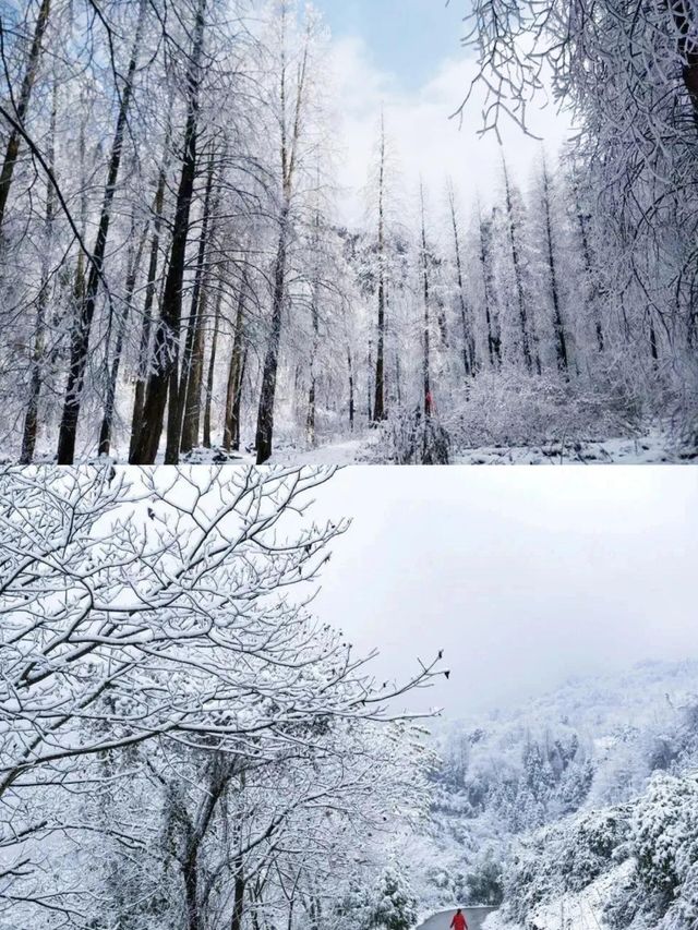 成都附近玩雪好去處