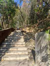 在宜良萬福寺--遇見老神仙