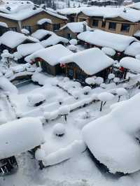 5日玩遍哈爾濱-雪鄉看這篇攻略就夠了