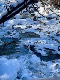 12.30川西現況，live實況直播，勸退不了