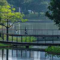 在深圳這座公園，找到了我的精神庇護區🍃