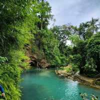 The Kawasan Falls Asrenaline Rush Adventure